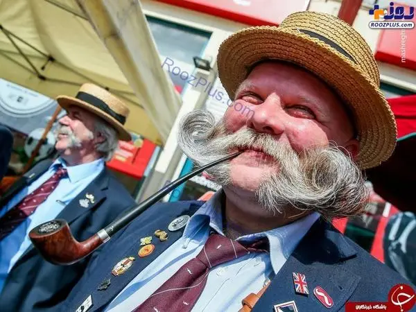 رقابت جالب و دیدنی سیبیلوها +تصاویر