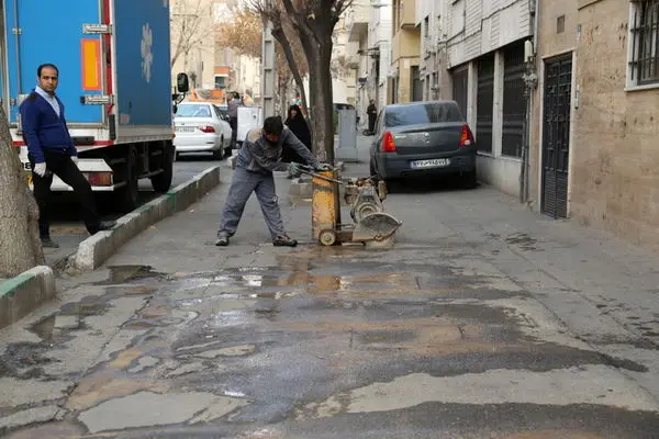 کاشت صدها درخت  و نهال نارنج در استقبال از بهار