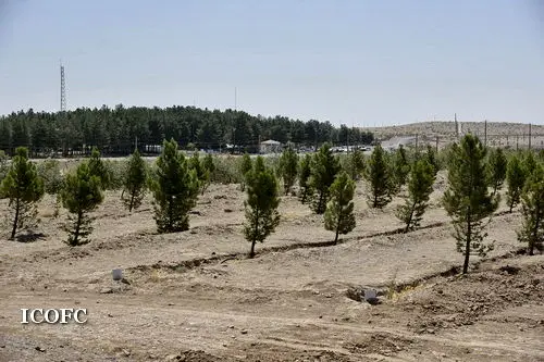 شرکت بهره‌برداری نفت و گاز شرق به‌پاس صیانت از محیط‌زیست موردتقدیر قرار گرفت
