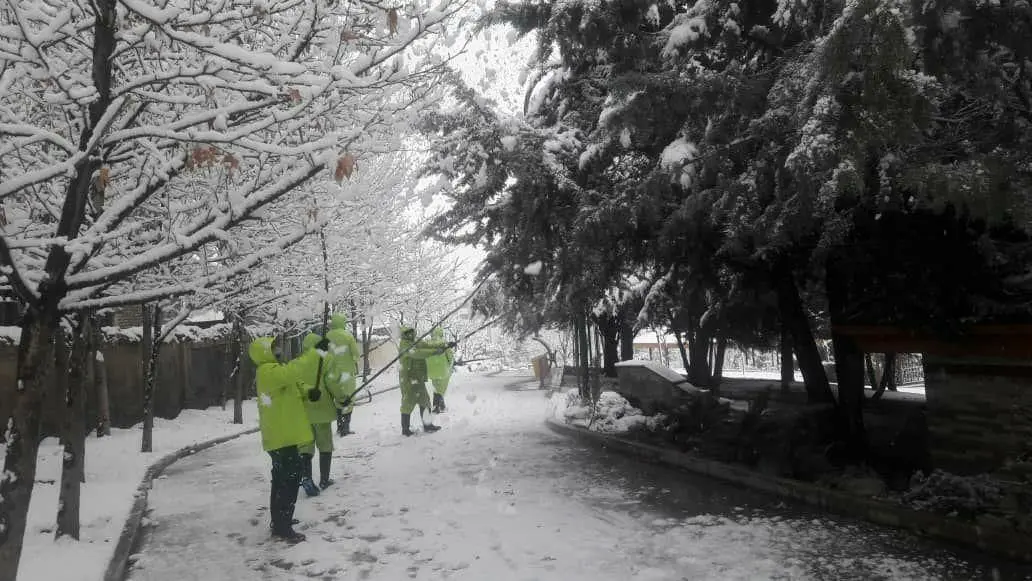 شمال تهران سفید پوش شد .

