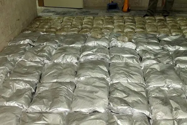 کاشتن مواد مخدر در پشت بام یک خانه+عکس 