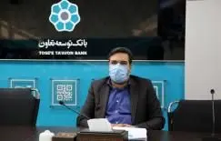 مدیریت ریسک منجر به تصمیمات اصولی بانکداری توسعه ای در بانک توسعه تعاون می شود