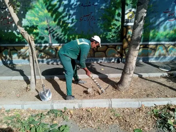 بازپیرایی و بازسازی بیش از 3 هزار متر مربع از فضای سبز مراکز آموزشی منطقه 19