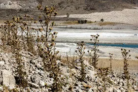 کاهش ۳۵ درصدی بارشهای بهاری