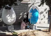 شمال شرق تهران رنگ و بوی نوروزی گرفت