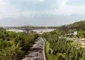اجرای نهضت مردمی درختکاری تهران سبز در منطقه ۲ 

