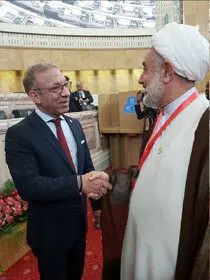 ذوالنور با رئیس ‌اتحادیه بین‌المجالس جهانی دیدار کرد

