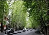 40 پروژه اجرایی در دو محله حصاربوعلی و رستم آباد فرمانیه  رصد شد