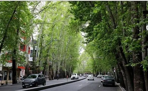 خیابان های ولیعصر، مولوی، جمهوری و کارگر، الگوی خدمت در مرکز شهر می شوند