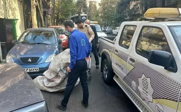 حذف زباله گردها و کتفی ها از چهره منطقه

