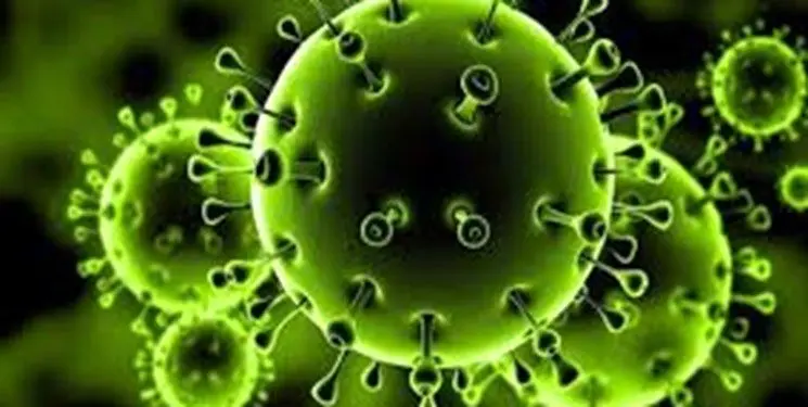 اضافه شدن 123 بیمار جدید به لیست بیماران کرونایی در مازندران

