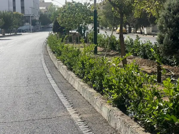 زیباسازی بلوار شهید تیموری با کاشت درختچه و گل های فصلی
