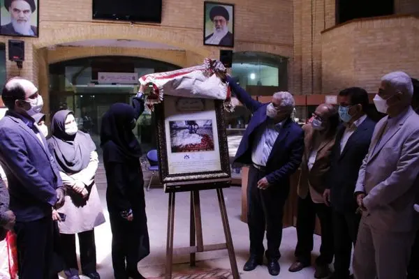 مستند «نقش جان» کار ارزنده شرکت بیدبلند خلیج فارس در حمایت از صنایع دستی رونمایی شد