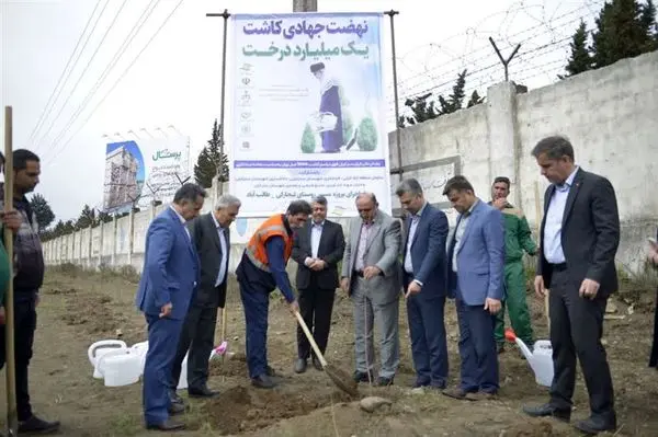 هزار اصله نهال چنار در منطقه آزاد انزلی غرس شد