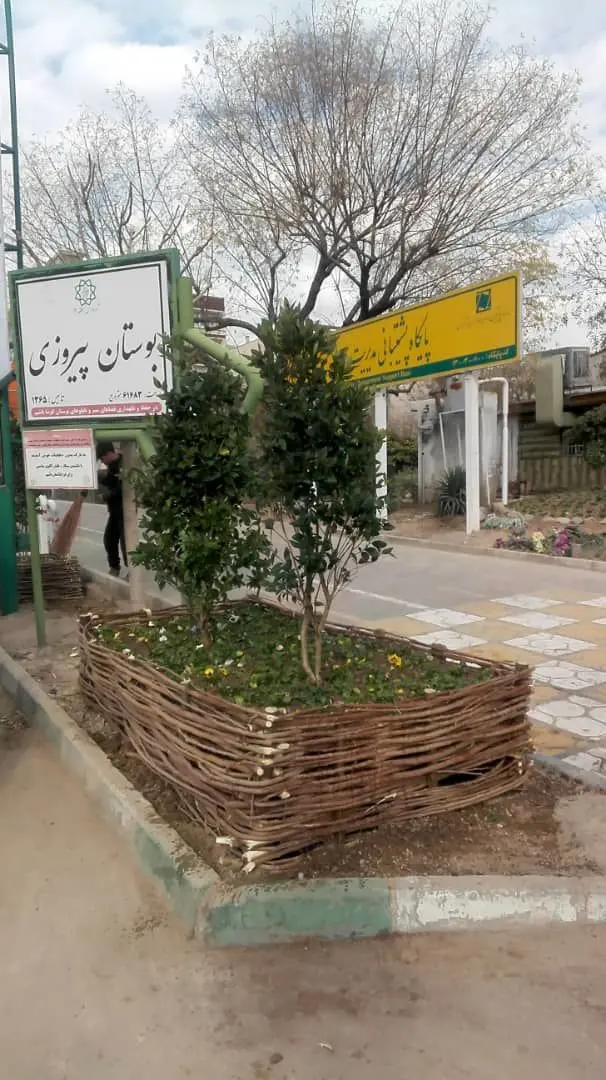 ساخت دست سازه های زیبا از ضایعات هرس در منطقه 13

