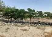  آزادسازی بیش از ۱۱ هزار متر مربع از اراضی منطقه ۱۵