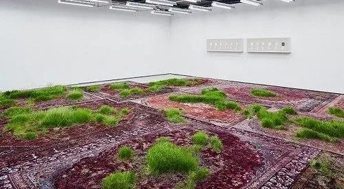 تصاویری از چمن های کاشته شده روی فرش+عکس