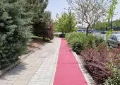 برای مناسب ‌سازی معابر به کمک شهرداری نیاز است