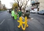 اجرای پویش درخت کاری در بوستان سمن ها
