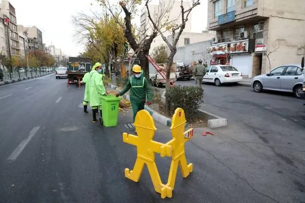 آغاز عملیات هرس  ۳۵ هزار درخت در محدوده منطقه ۱۳