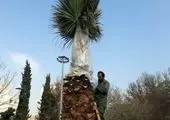 شهروندان منطقه۲ به پویش «ارتقای فرهنگ آپارتمان نشینی» پیوستند