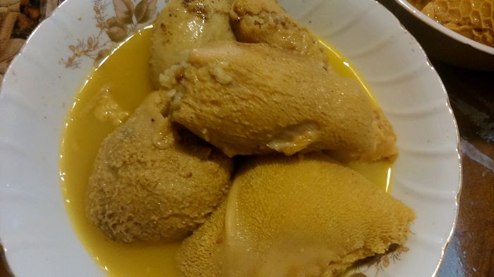 ماجرای خوردن گربه‌ در جنوب ایران چیست؟+عکس