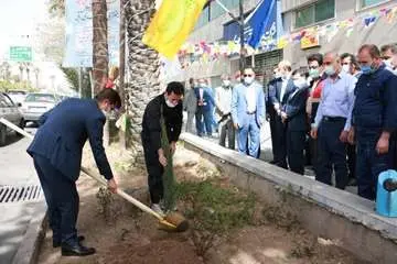 کاشت بیش از 2600 اصله نهال مثمر در مناطق عملیاتی شرکت نفت مناطق مرکزی ایران