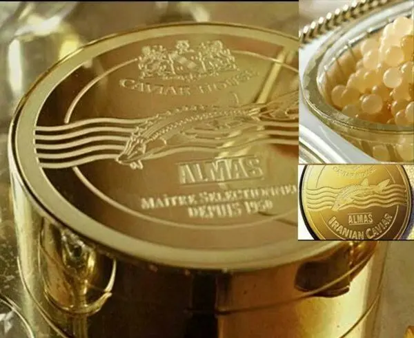 گرانترین غذای جهان که ایرانی است+عکس