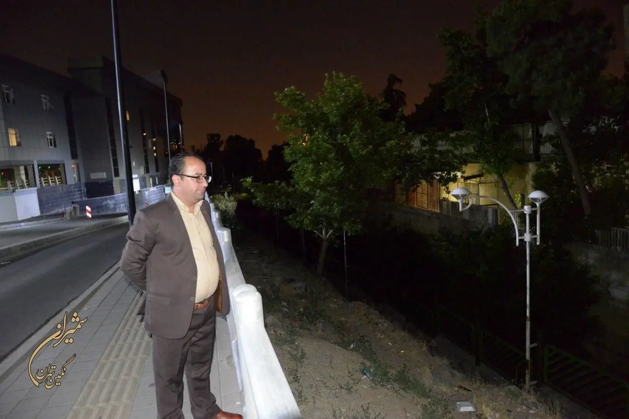 گزارشی از فعالیت شهردار شب منطقه یک تهران

