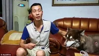 بلایی که راننده حواس پرت بر سر سگ آورد + عکس