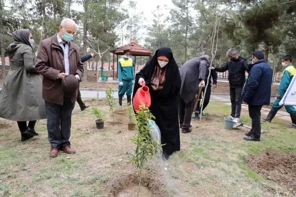 کاشت 110 اصله نهال مقاومت و غبارروبی 46 مسجد منطقه 13


