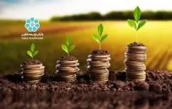 بانک توسعه تعاون در طرح اشتغال روستایی 5676 میلیارد ریال تسهیلات به معرفی شدگان نهادهای حمایتی پرداخت کرده است

