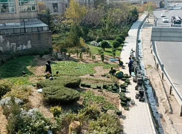 نگهداشت و افزایش سرانه فضای سبز از اولویت های این منطقه است