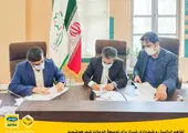 برگزاری پنجمین سمپوزیوم تازه‌های نقشه‌برداری مغز ایران با حمایت همراه اول