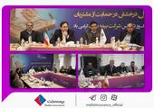 سمینار توانمندسازی نمایندگان بیمه سرمد برگزار شد