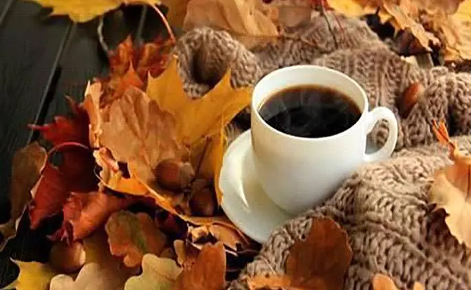 هدایای تبلیغاتی پاییزه