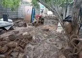 پرداخت ۲۷۸ میلیارد ریال تسهیلات بانک مسکن به آسیب‌دیدگان حوادث غیرمترقبه در سال جاری

