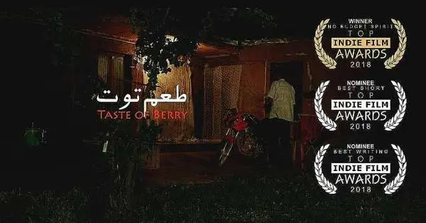 «طعم توت» ایرانی از آمریکا جایزه گرفت