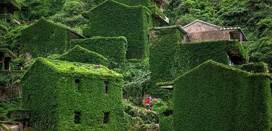 روستایی که طبیعت آن را پوشاند! +تصاویر