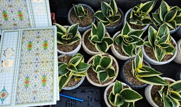 تقدیر از پرسنل بازنشسته سازمان بهشت حضرت زهرا(س)