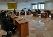 هرس درختان سطح شهر اراک