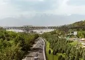 کاشت درخت روت بال  در بزرگراه شهید یاسینی 

