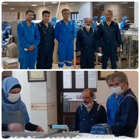 حمایت مالی بانک کشاورزی از بزرگترین شرکت تولید کننده تخم مرغ در خاورمیانه
