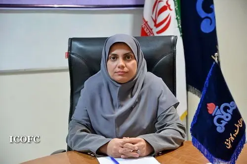 افزایش رضایت شغلی سرمایه انسانی