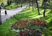 رفیوژ میانی خیابان شوش غربی روشن شد