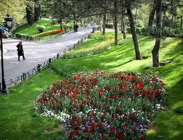 ۳۰ هزار پیاز گل لاله در میادین، بوستان ها و معابر منطقه ۳ کاشته شد