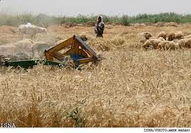 104 میلیارد ریال تسهیلات مکانیزاسیون کشاورزی در خمین پرداخت شد


