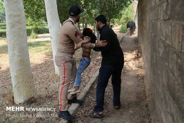 غیرت نیروهای مسلح در پناه دادن به مردم+عکس
