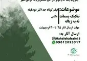 شروع و اجرای ۵۰۰ پروژه و برنامه در سطح محلات ۱۲ گانه منطقه ۳