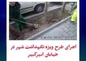 ​به همت معاونت خدمات شهری و محیط زیست منطقه ۱۲ طرح ویژه لایروبی در نواحی شش‌گانه اجرا شد.

